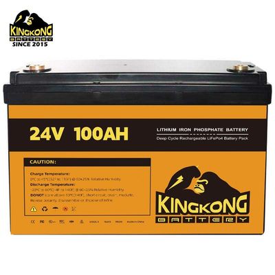 168g LiFePO4 プリズマ式電池 ケース 交換 プラスチック 12V 280AH 310AH 貯蔵 エネルギー