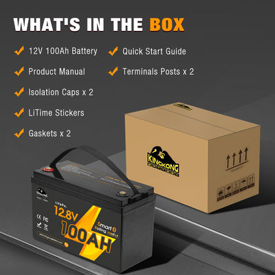 電動ボート ライフポ4 バッテリーパック 12V 24V