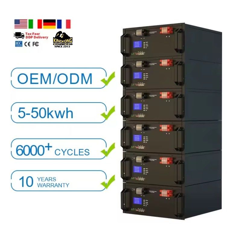 サイクルの寿命 6000 倍 51.2V 300ah 100Ah ライフポ4 リチウムイオン電池 太陽光発電
